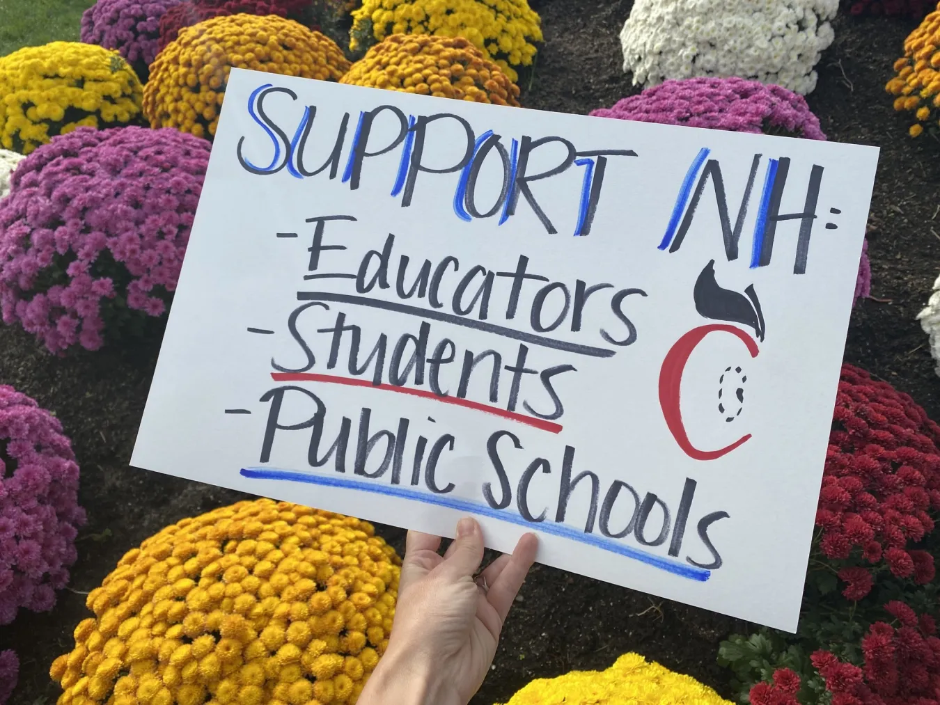 An image of a poster that reads "Support NH: Educators; Students; Public Schools" with mums in the background.