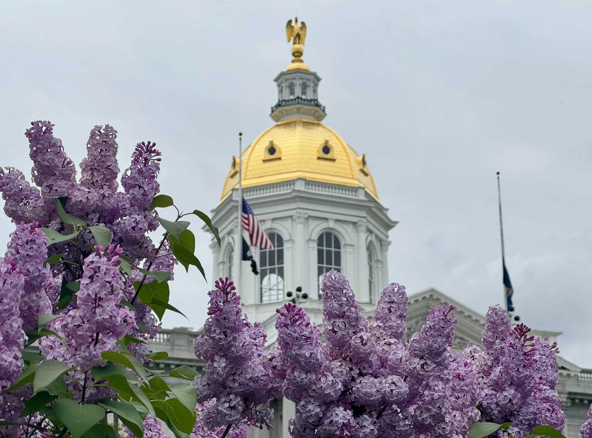 The New Hampshire State House in the background; lilacs in the foreground.