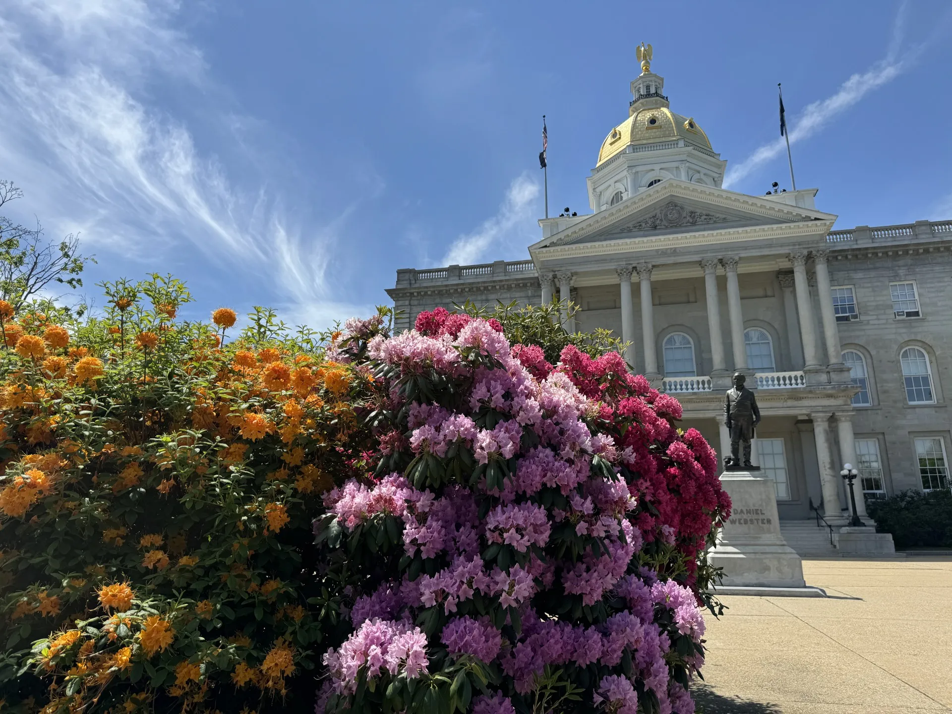 An image of the New Hampshire State House with rhododendrons in the foreground.