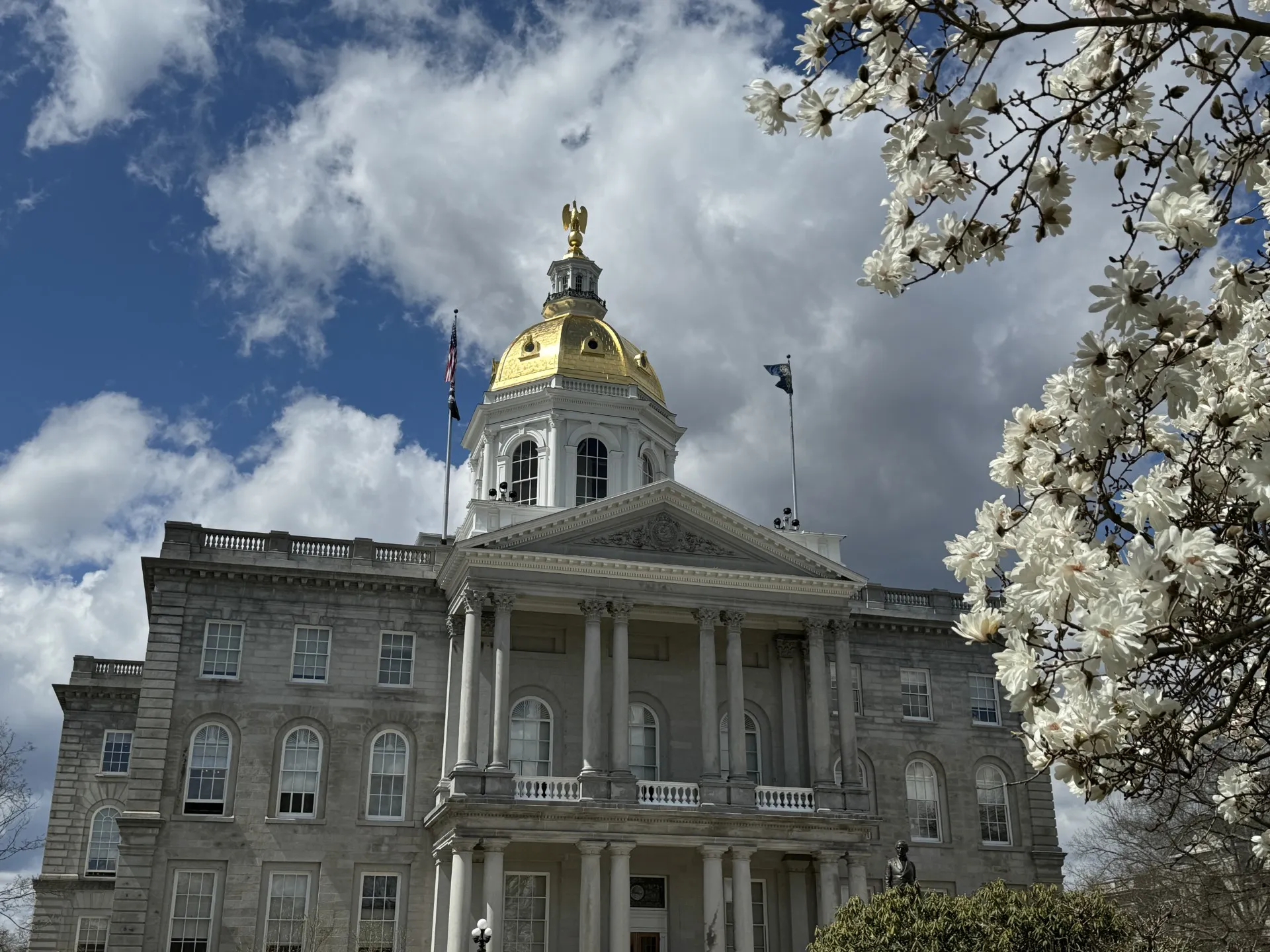 An image of the NH State House in spring.