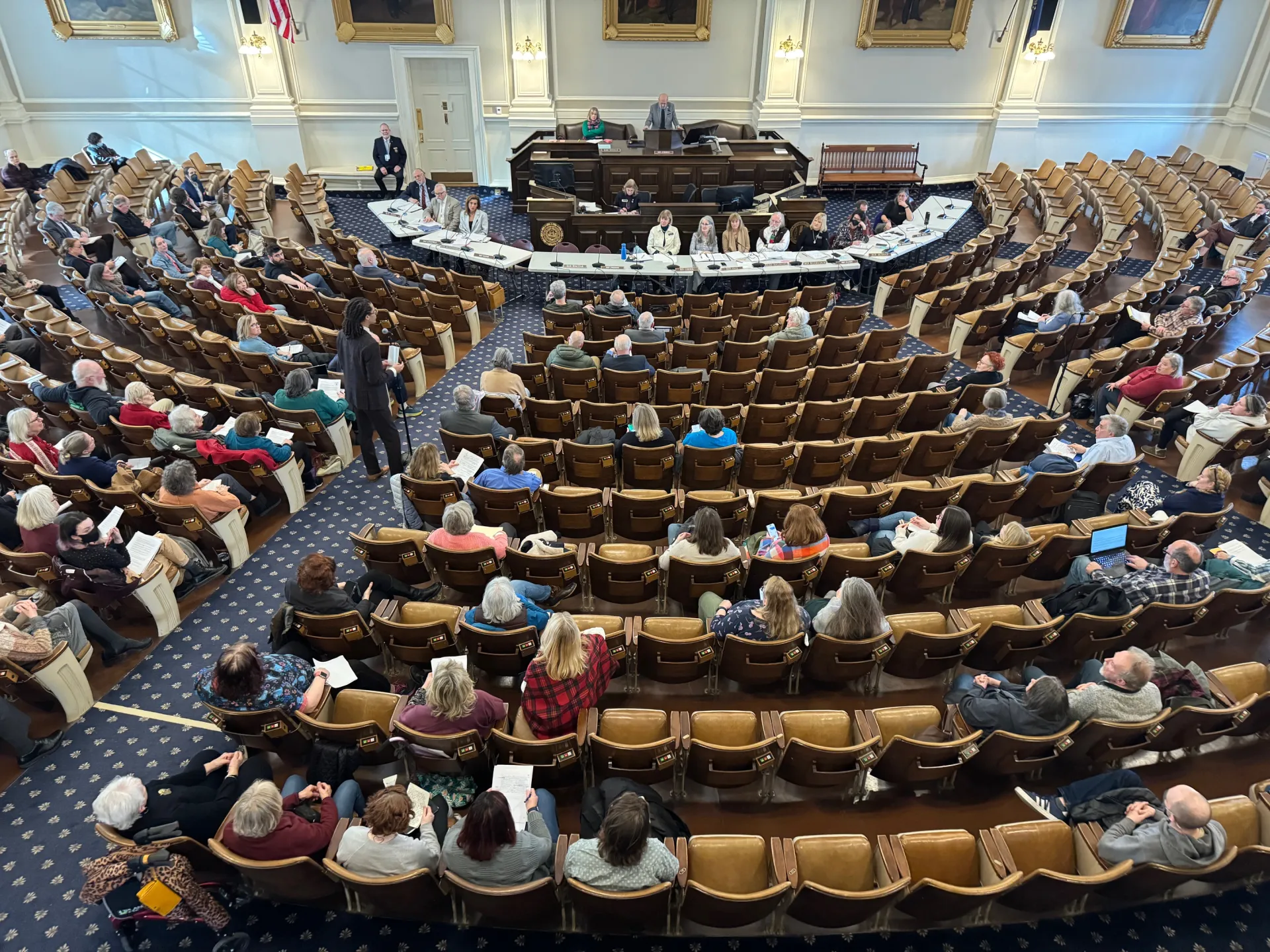 An image of a public hearing being held in Representatives Hall.