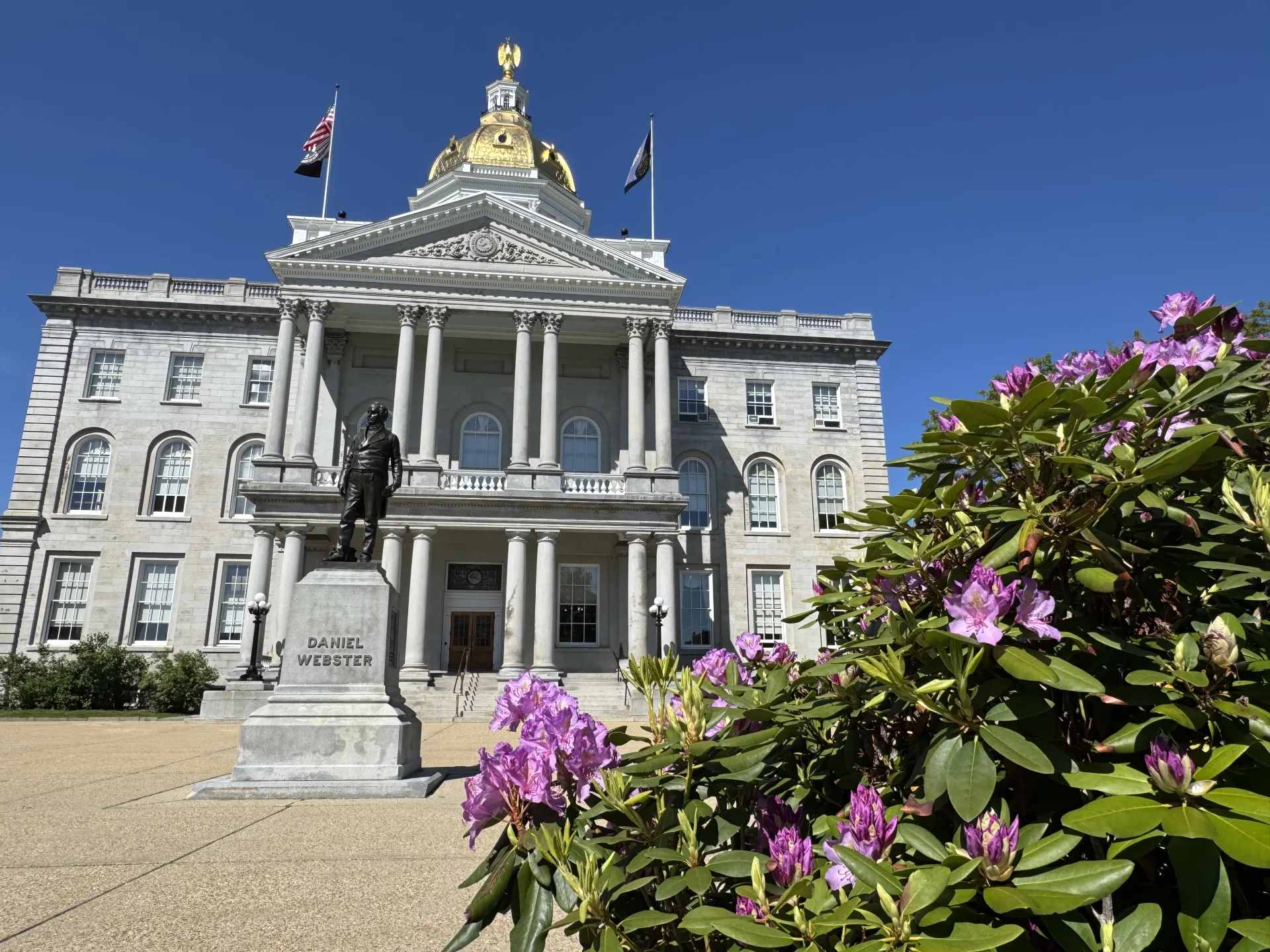 Pink rhododendrons in the foreground with the NH State House in the background.